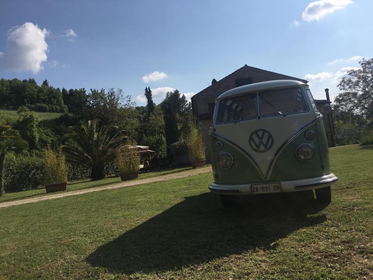 Affitta Camere Il Pettirosso - Housity