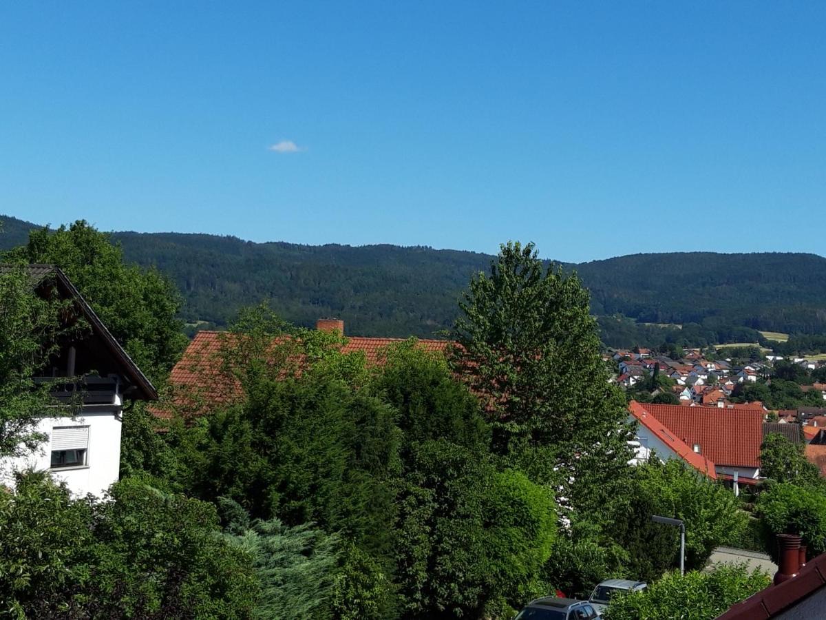 Ferienwohnung Trommblick - Natur Pur - Rimbach im Odenwald - Housity