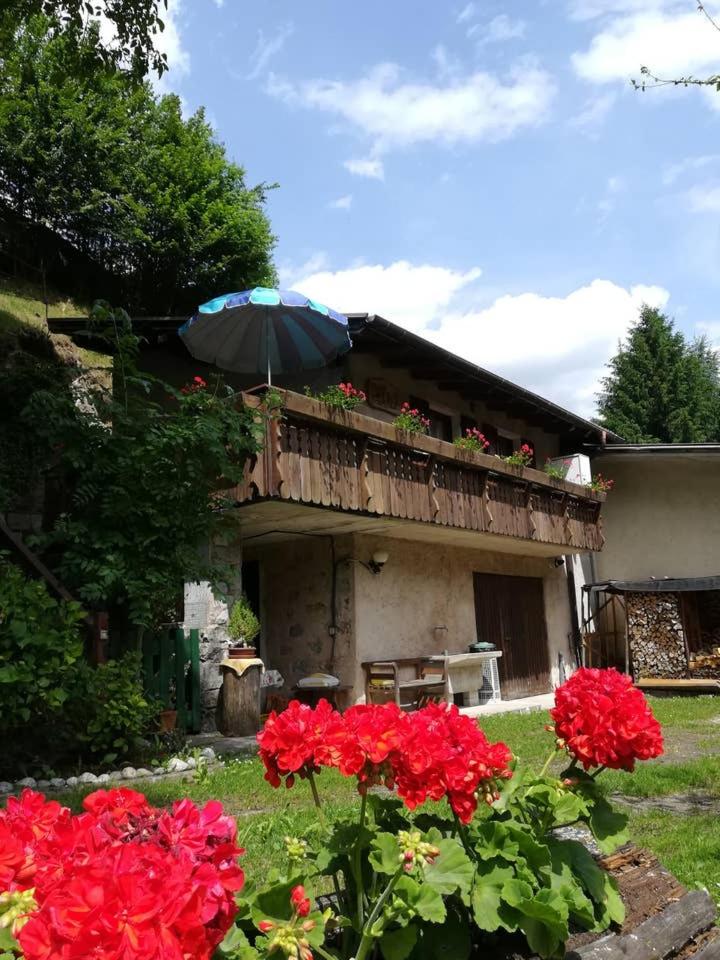 CASETTA INDIPENDENTE NEL VERDE PER 2/3 PERSONE - Housity