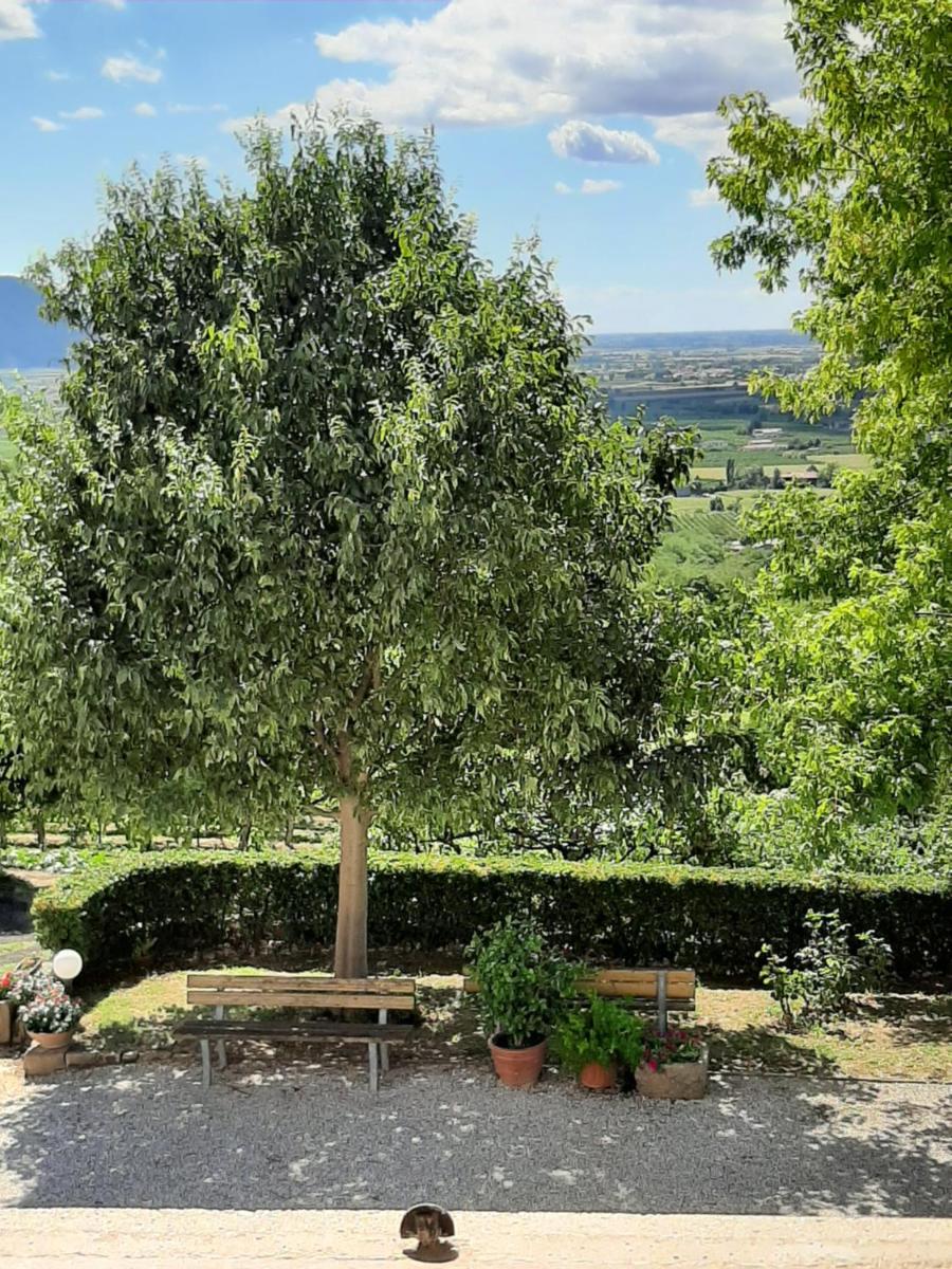 Il Castagneto - Housity