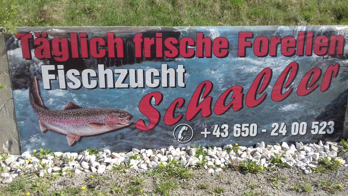 Ferienwohnung Schaller - Housity