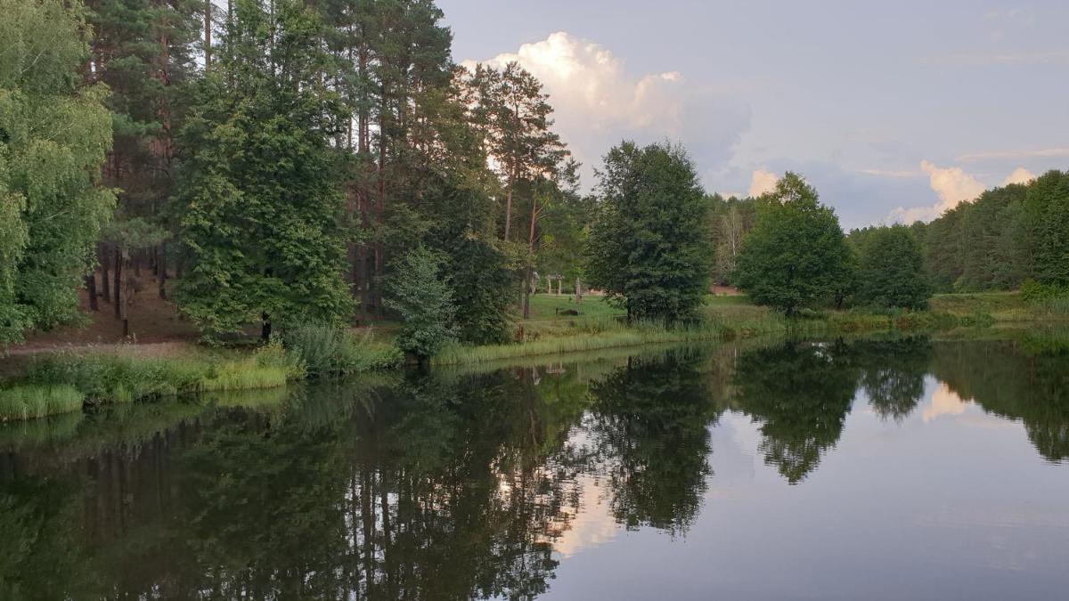 Garden Studio by the Lake with Air-Con and Infrasauna - Housity