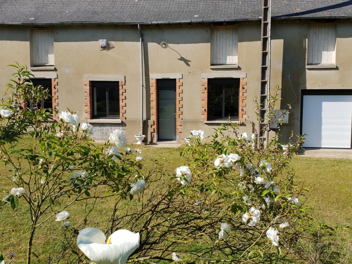 51 Le Chêne Fourcher - Housity