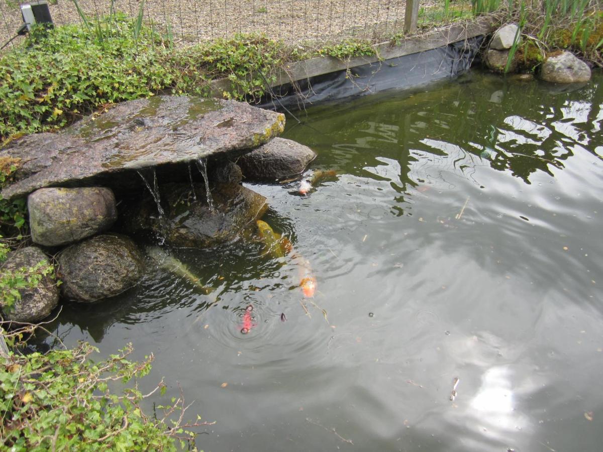 B&B Kleintje Eleveld - Housity