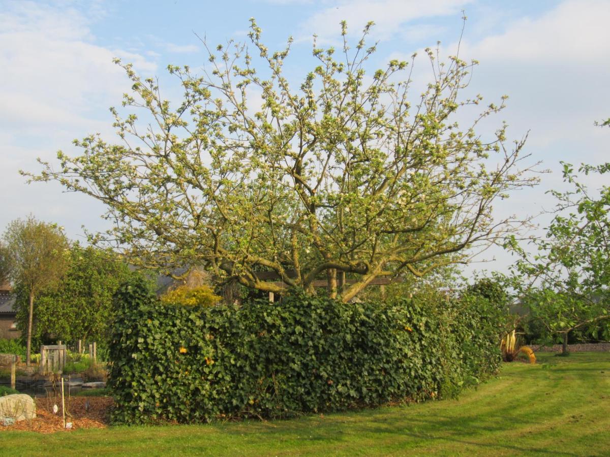 B&B Kleintje Eleveld - Housity