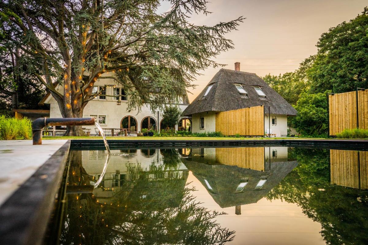 Edville Home - Housity