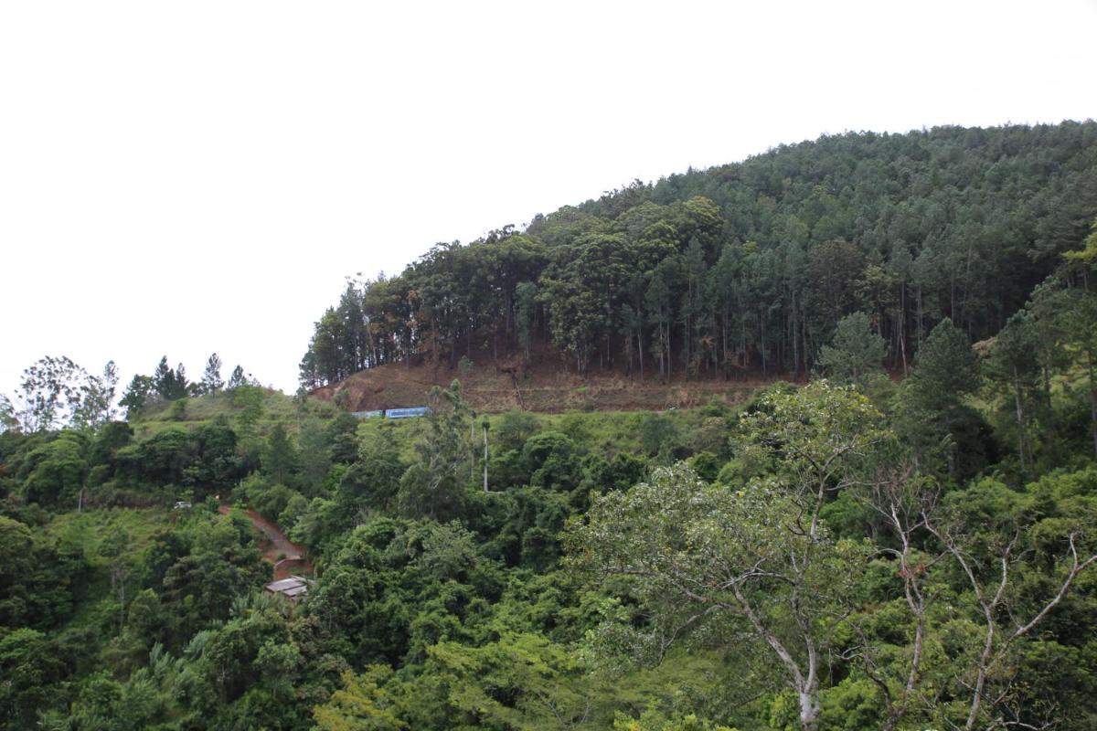 Green Lushy Home Stay - Housity