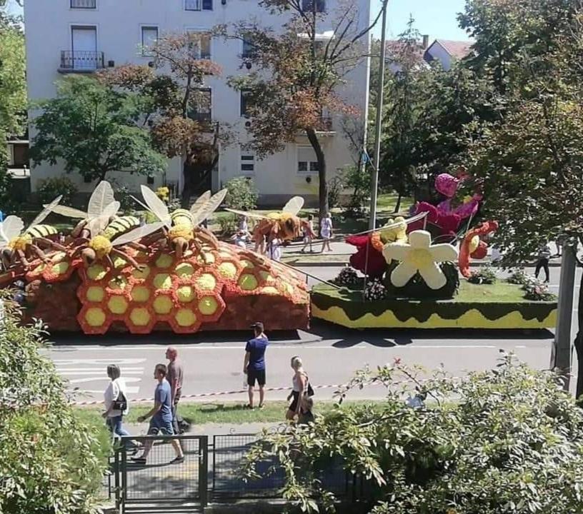 Sugár apartman - Housity