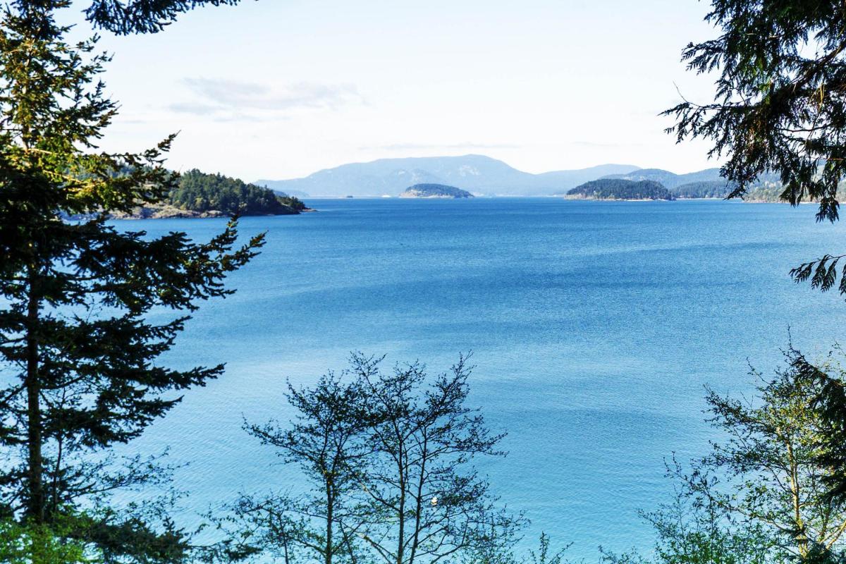 The Beach House on Lopez Island - Housity