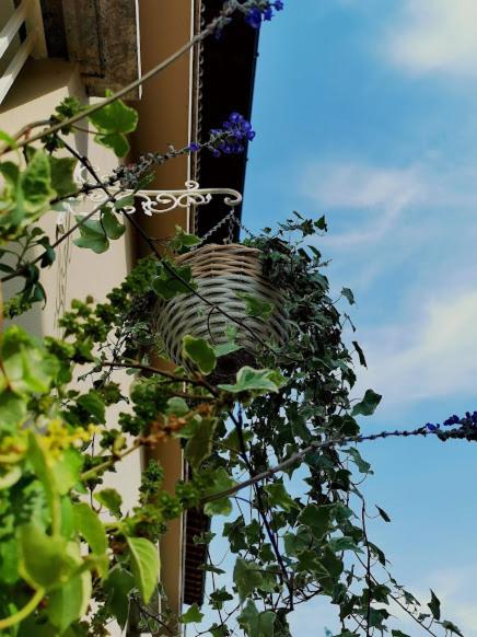 Il Cortile - Housity
