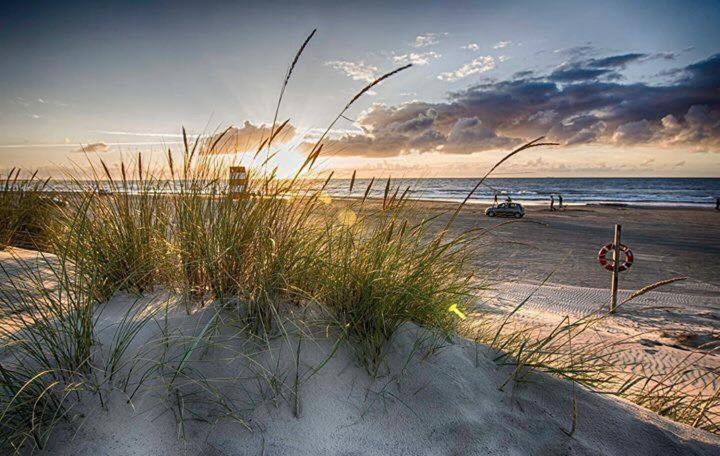 Sellebjerg Apartment - Hizvo