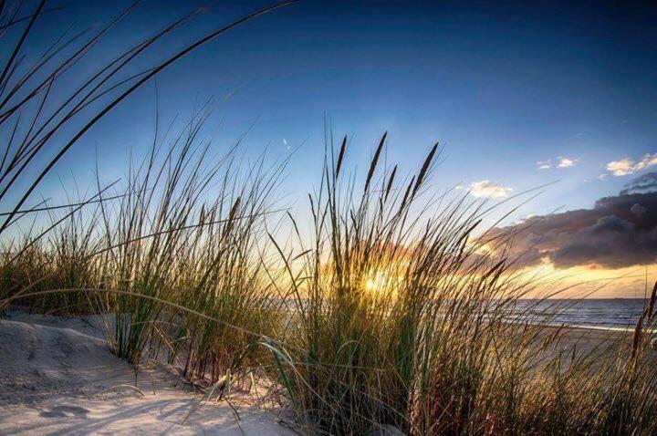 Sellebjerg Apartment - Hizvo