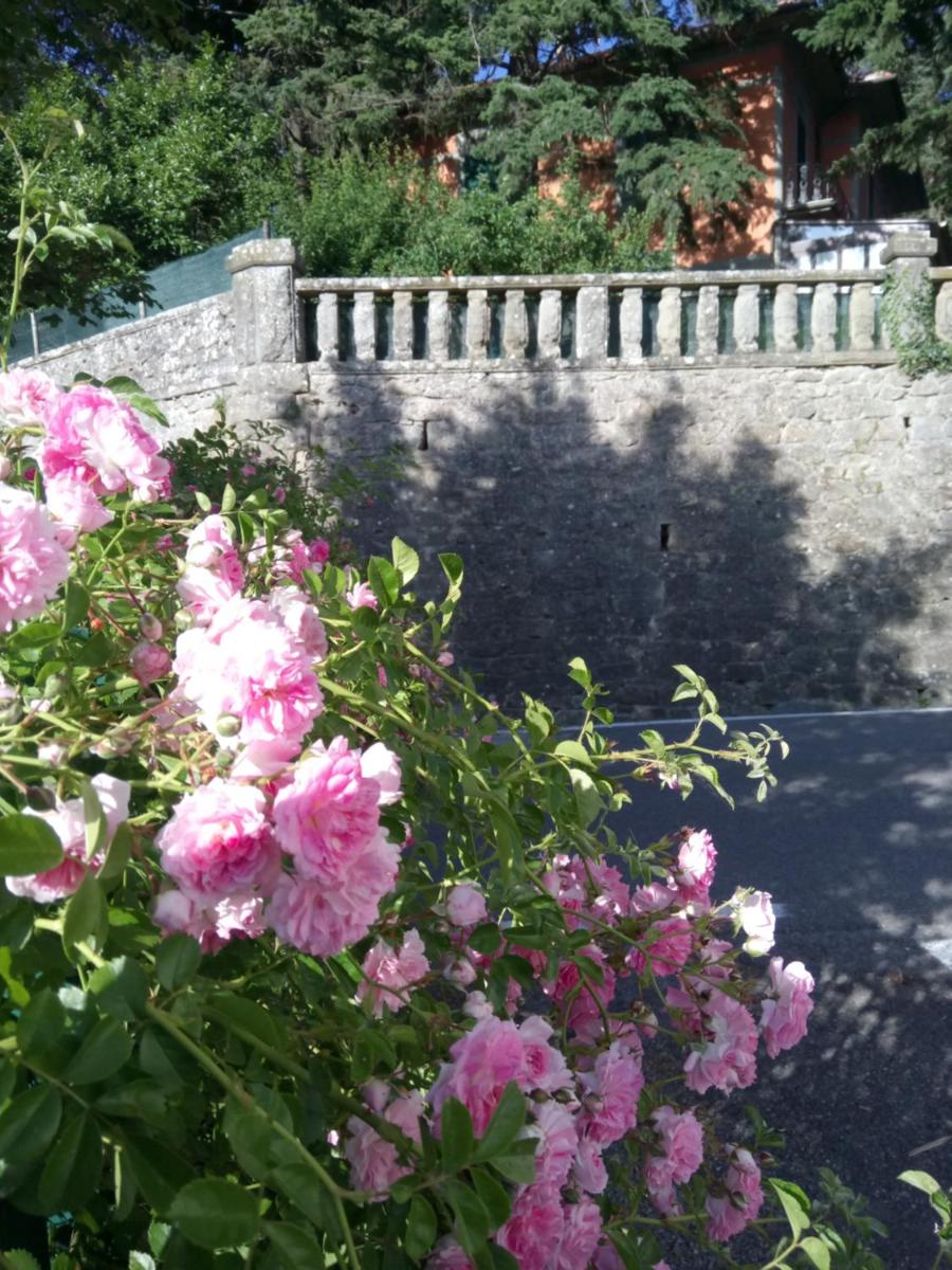CASA BARTOLACCI COZY APARTMENT (NEAR FLORENCE CITY CENTER) - Housity