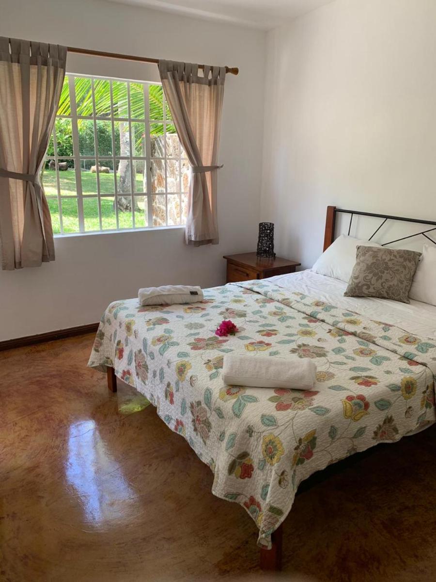 Whynot Mauritius - Housity