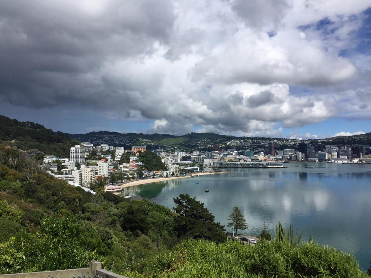 Incredible Views! Luxurious Studio & Outdoor Living - Housity