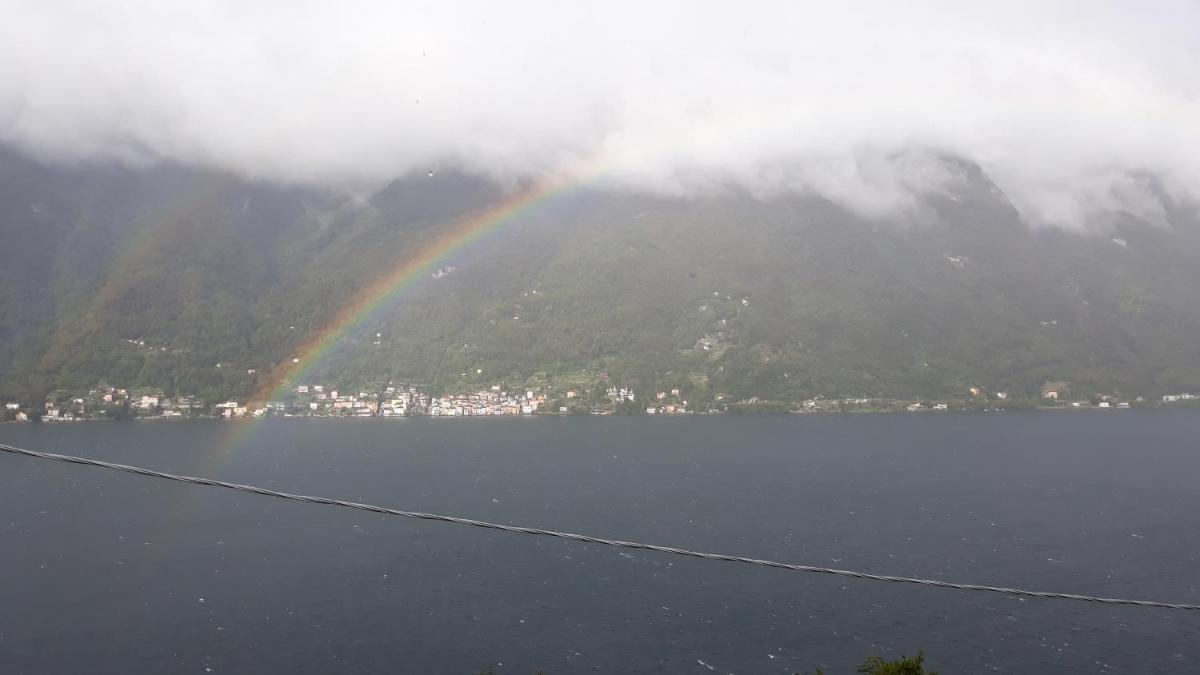 Gli Ulivi di Nesso - Housity