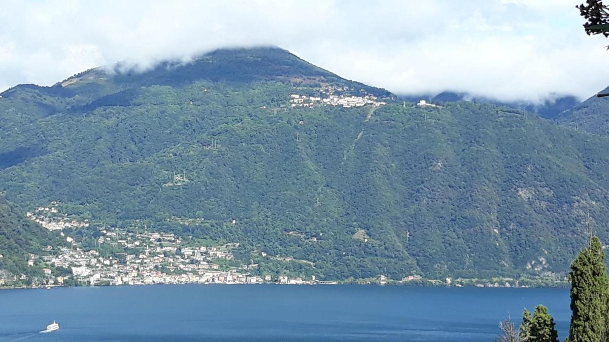 Gli Ulivi di Nesso - Housity