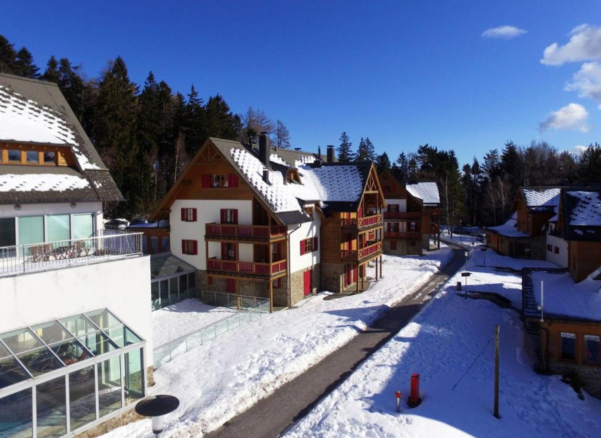 Antela appartments for up to 5 person on Mariborsko Pohorje - Housity