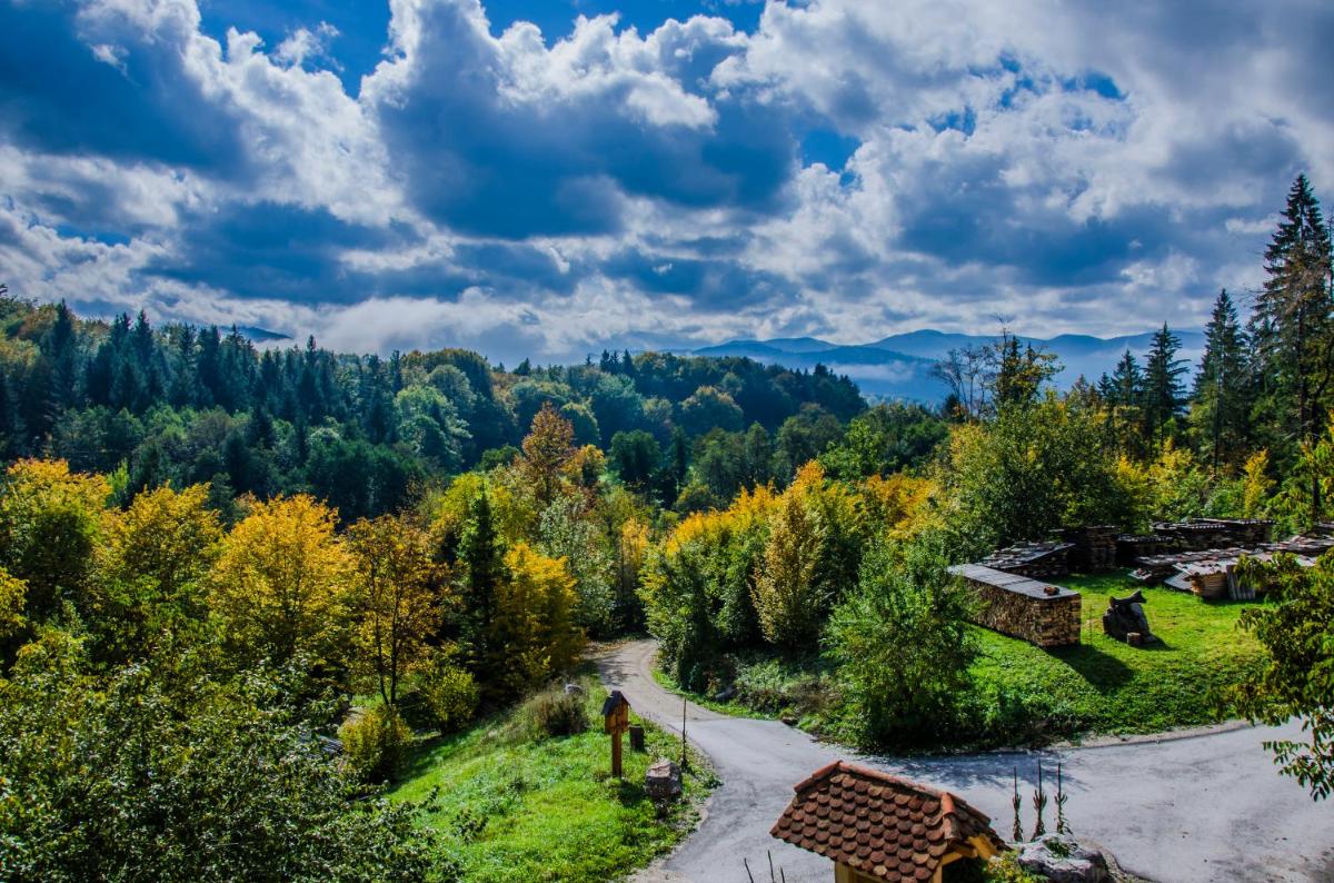 Miškar Rooms - Housity