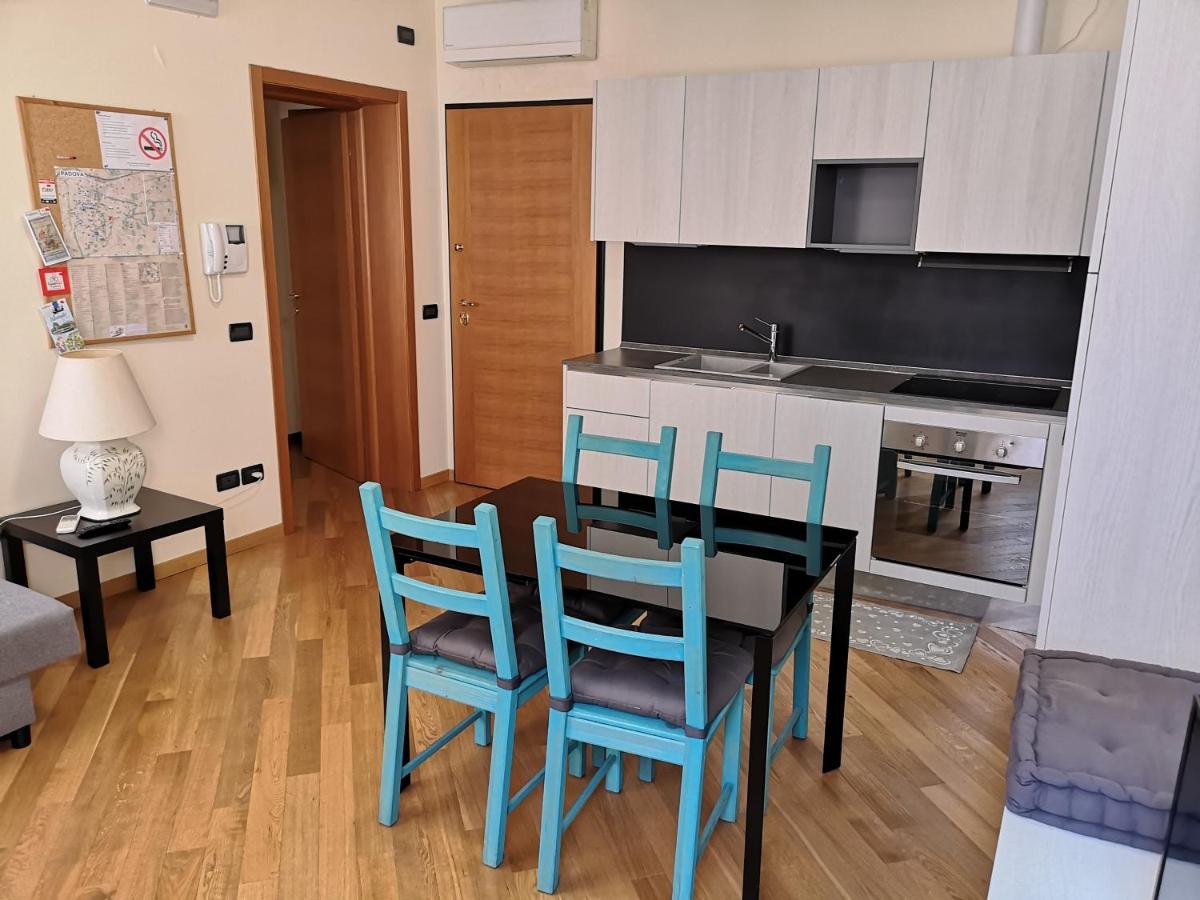 PATAVIUM APARTMENT - Housity