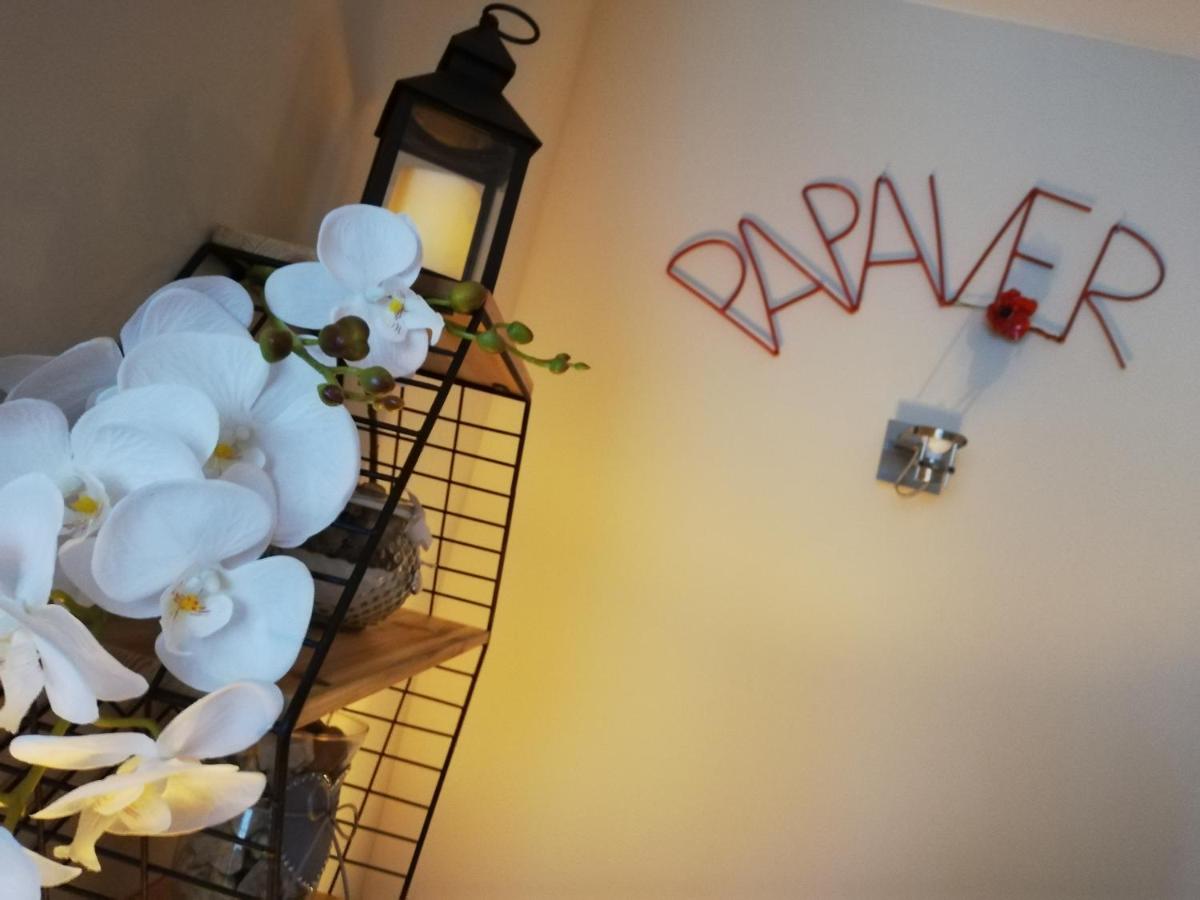 Papaver Apartament - Housity