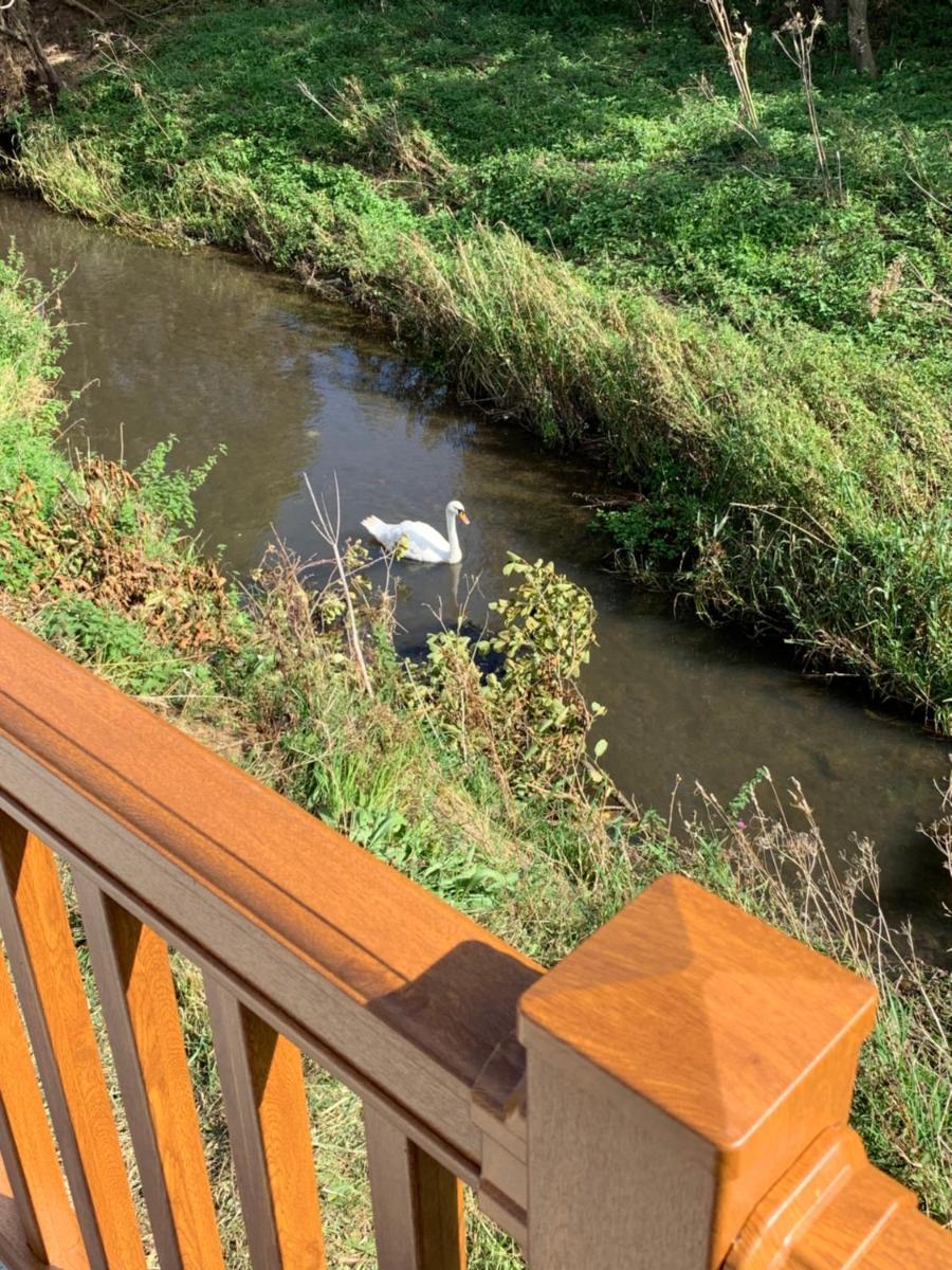 Moonlight Ridge -2 bedroom lodge with hot tub - Housity