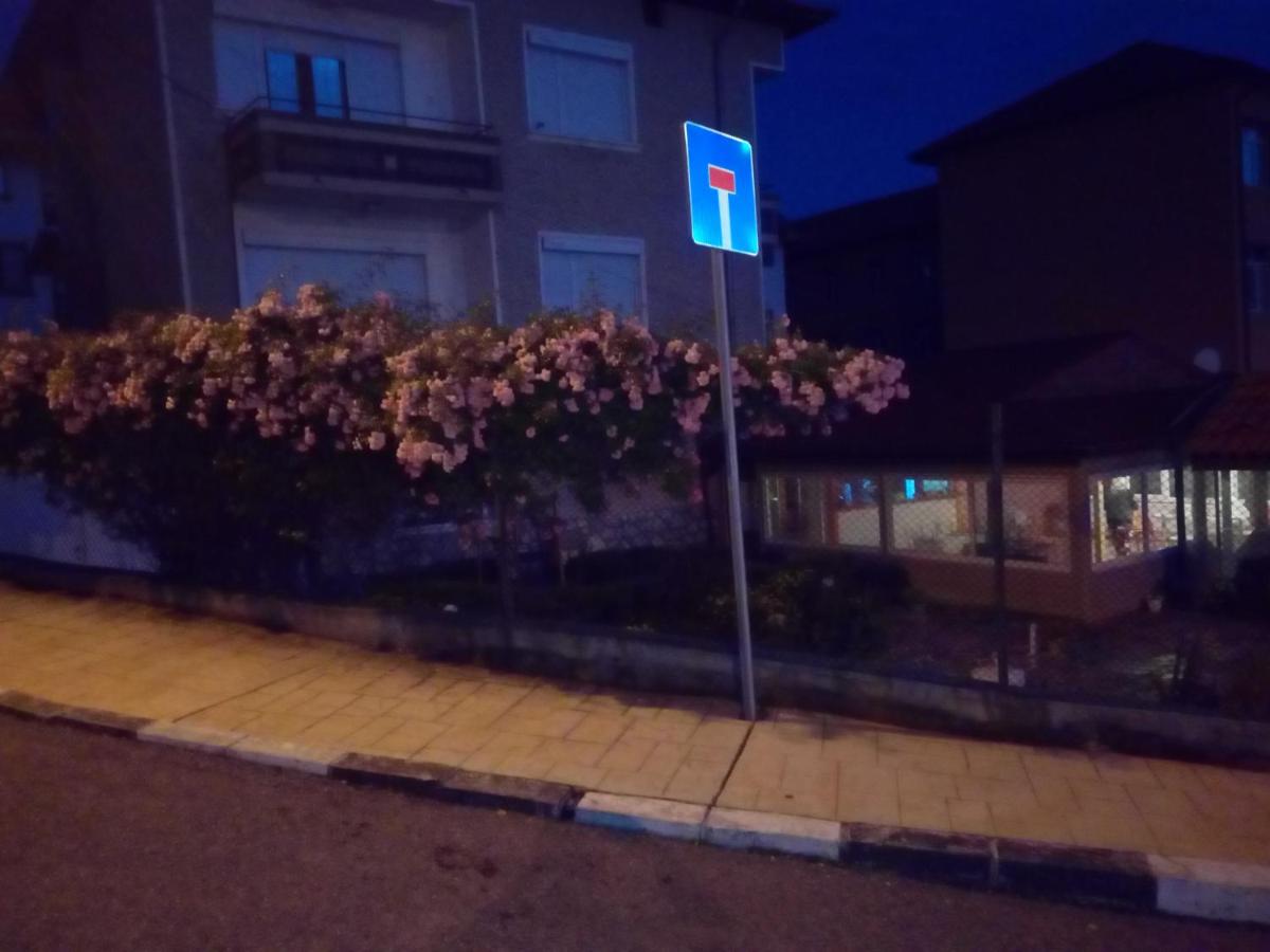 Teo's Guest House - Housity