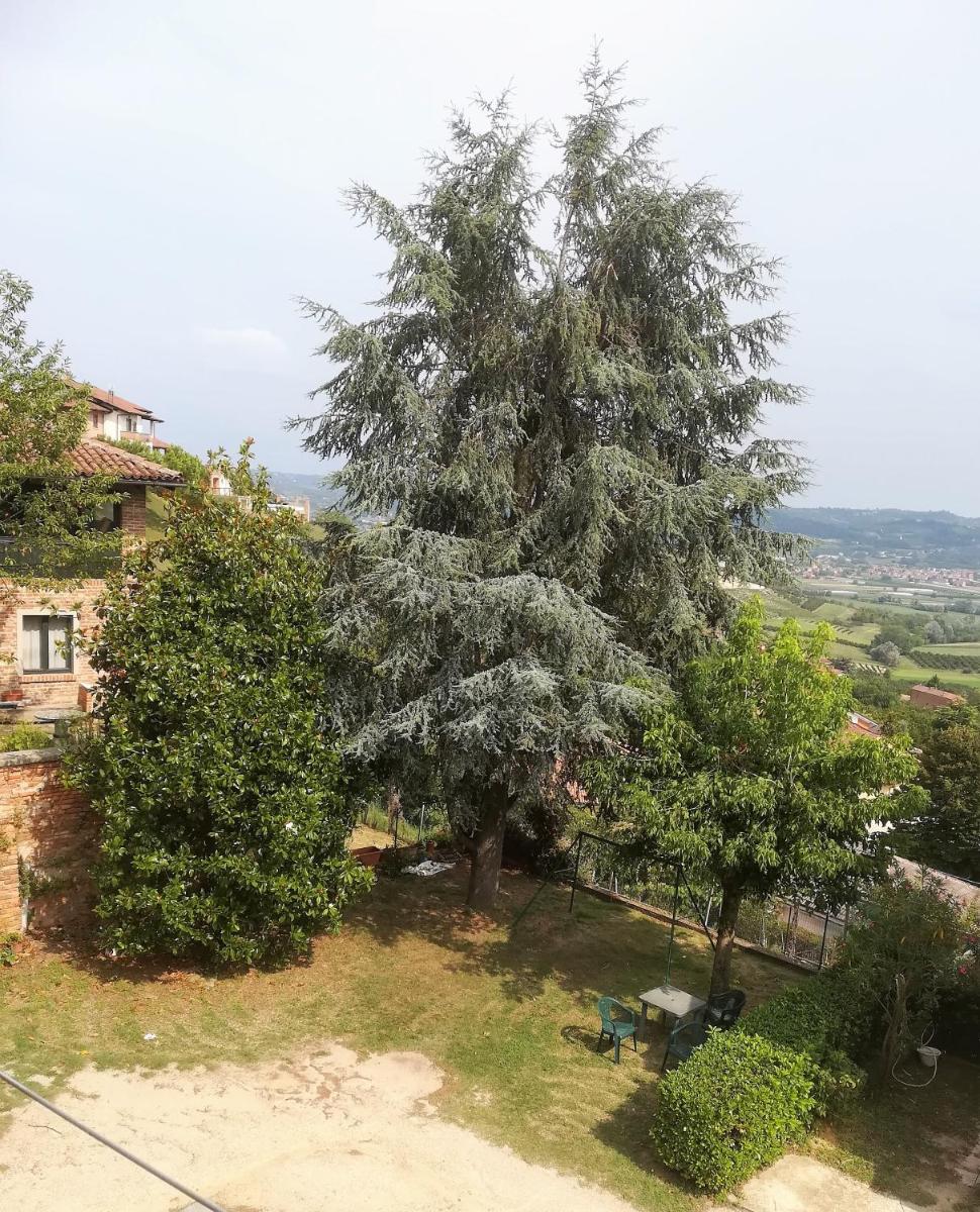 casa di wilma - Housity