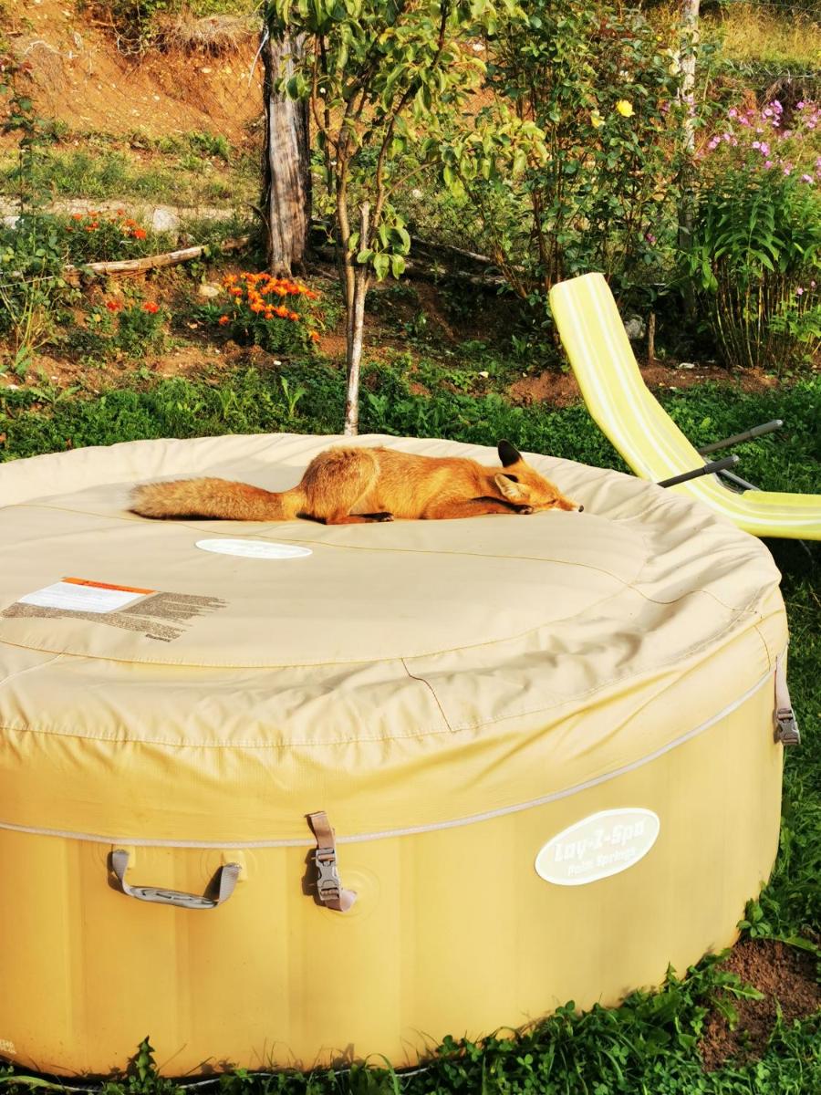 Suitetrails - Cottage La Sierra with JACUZZI