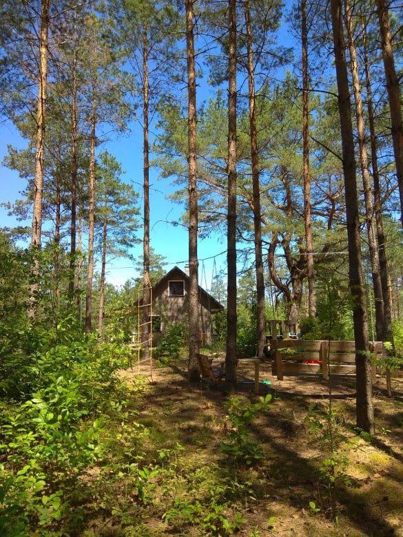 Szary domek Zelwa - Housity