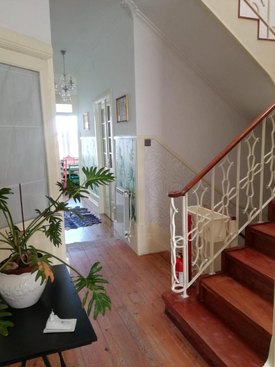 ChatNoirPorto LaMaison - Housity