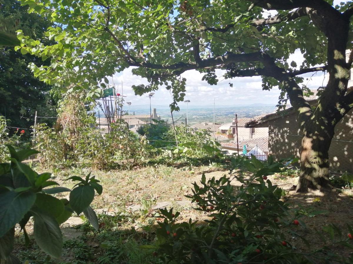 Orto di Emma - Housity
