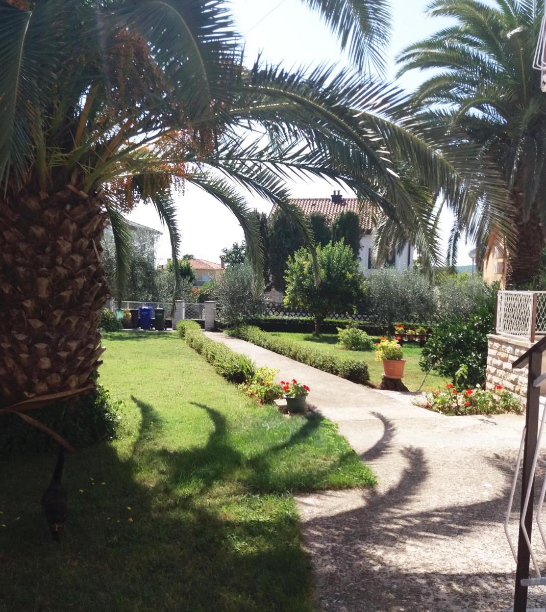 Apartment Summer house 2 - Hizvo
