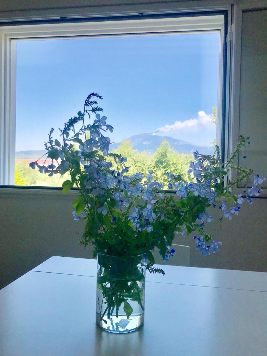 La Finestra Sull'Etna - Housity