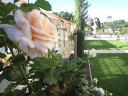 Chateau Du Comte - Housity