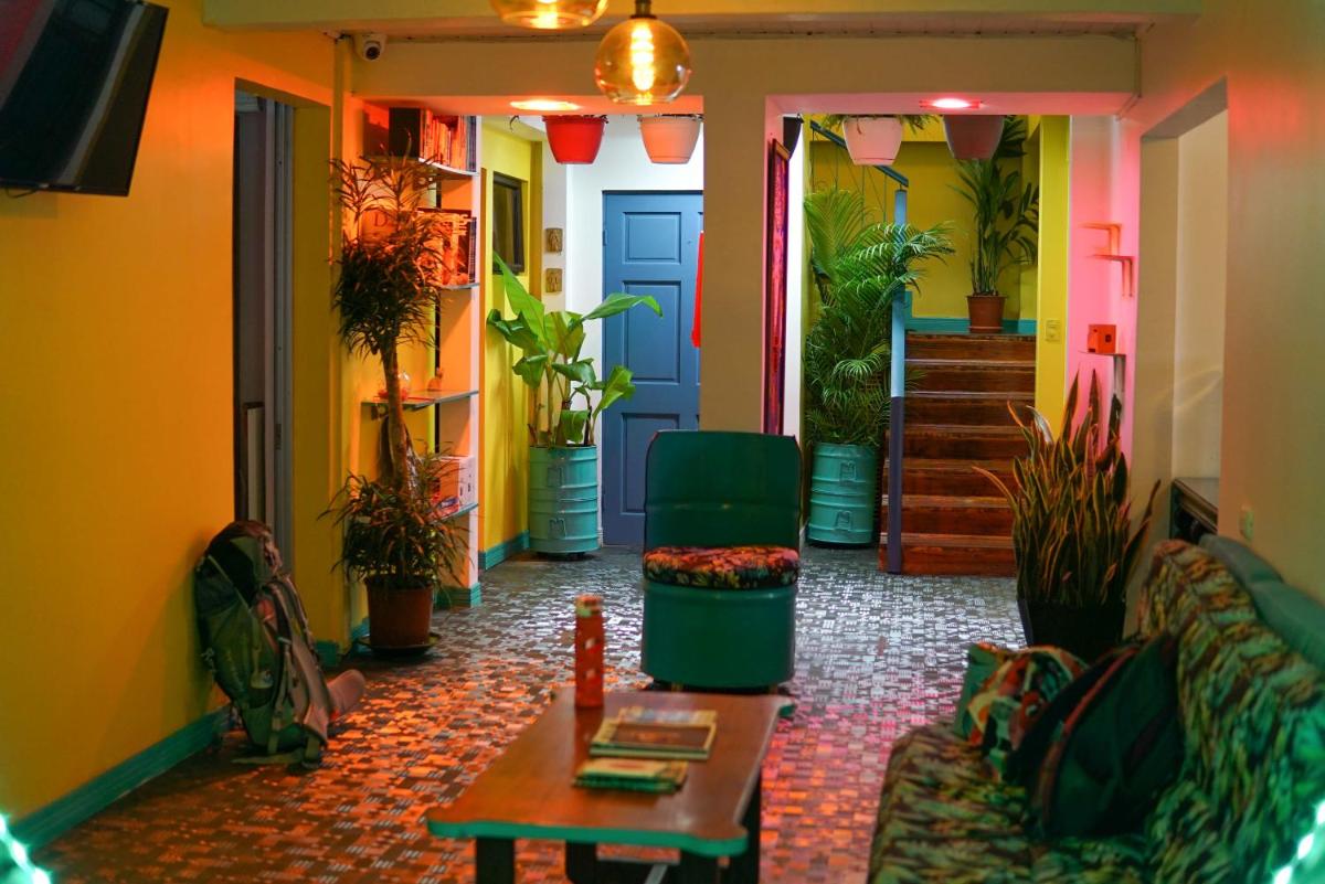 Nativus Art Hostel - Housity