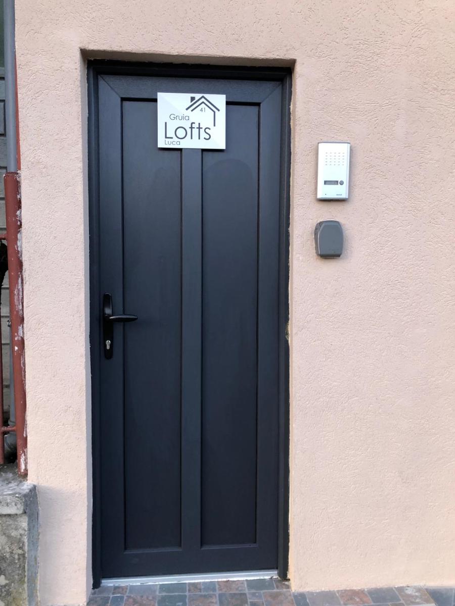 Gruia Lofts - Housity