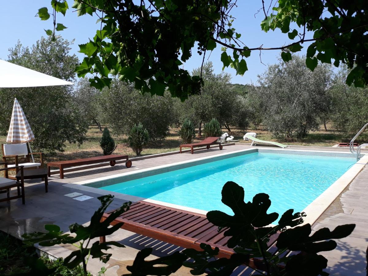 Apartments Garden Monsena - Housity