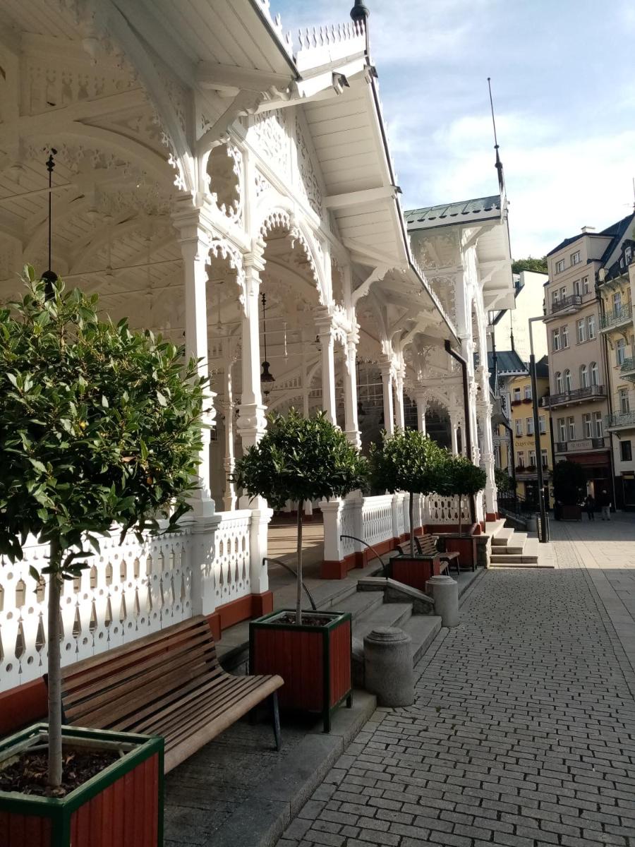 Apartmán Orchidej u Vřídla - Housity