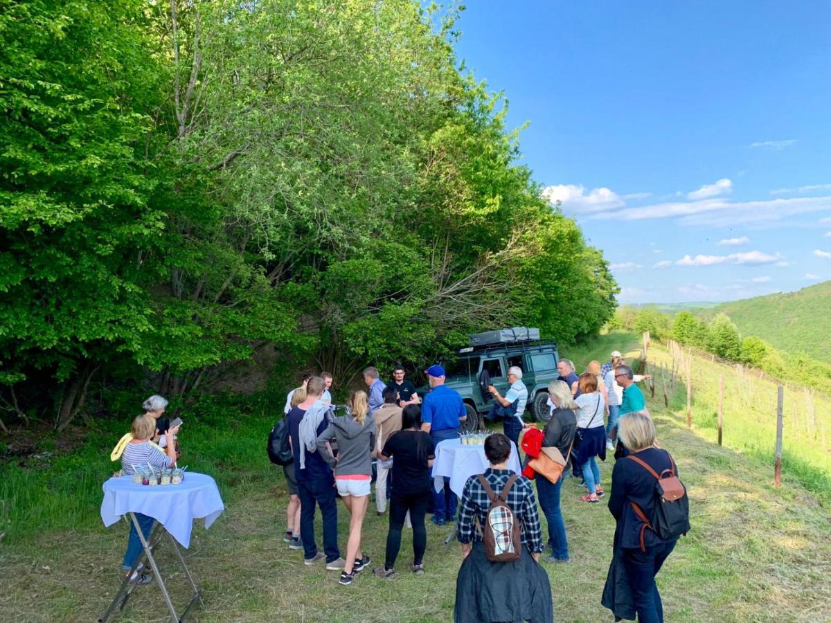 Ferienwohnungen Lithos - Housity