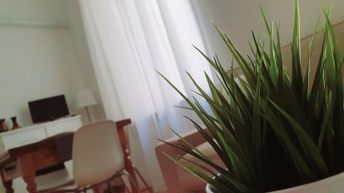 ALmare - White House - Housity