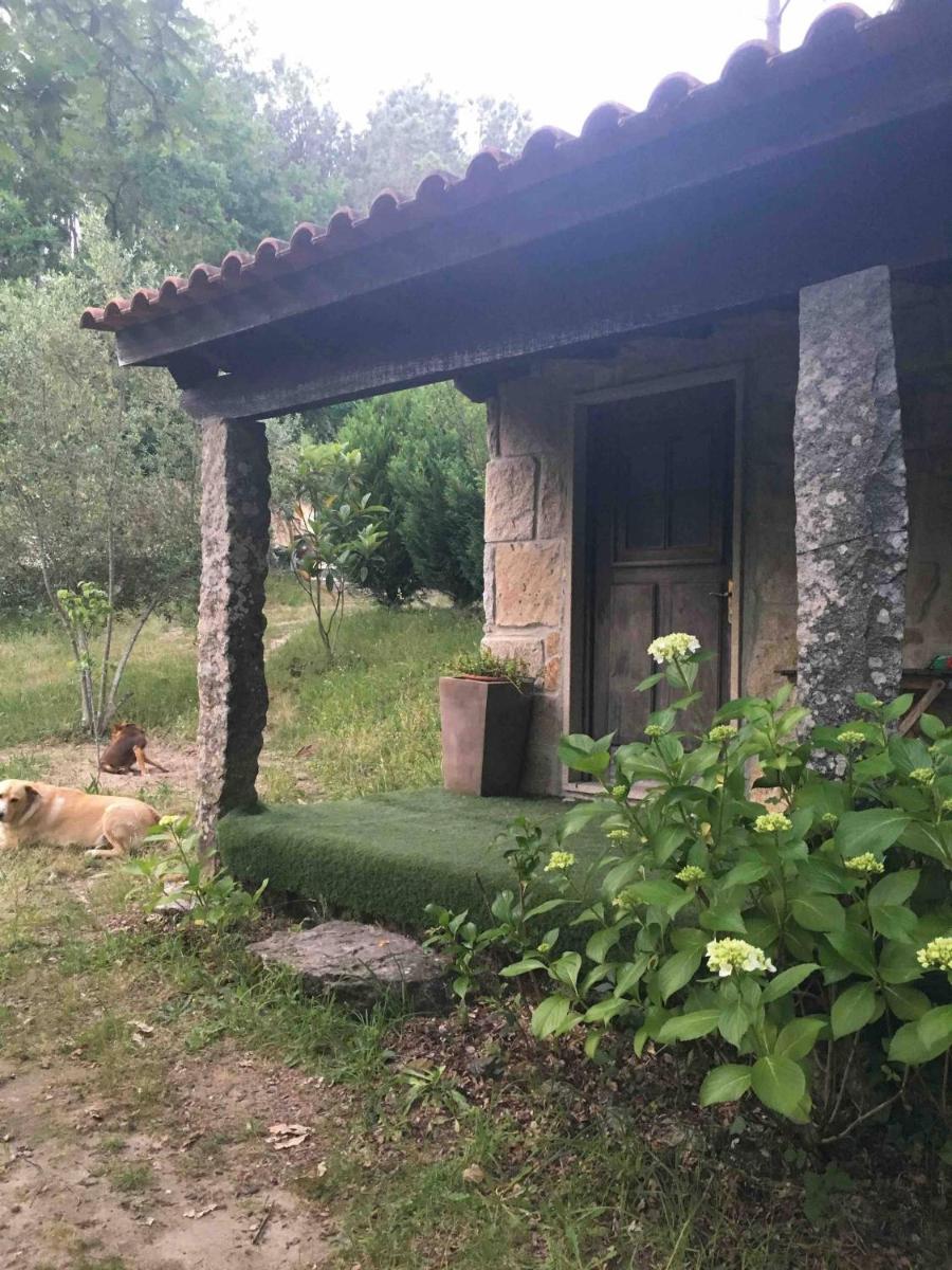 Forest House casinha do Carvalhal - Housity