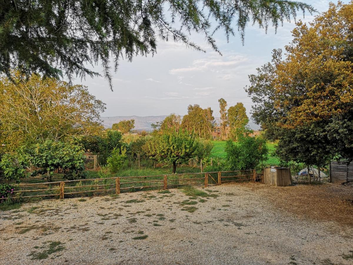 Radici b&b - Housity