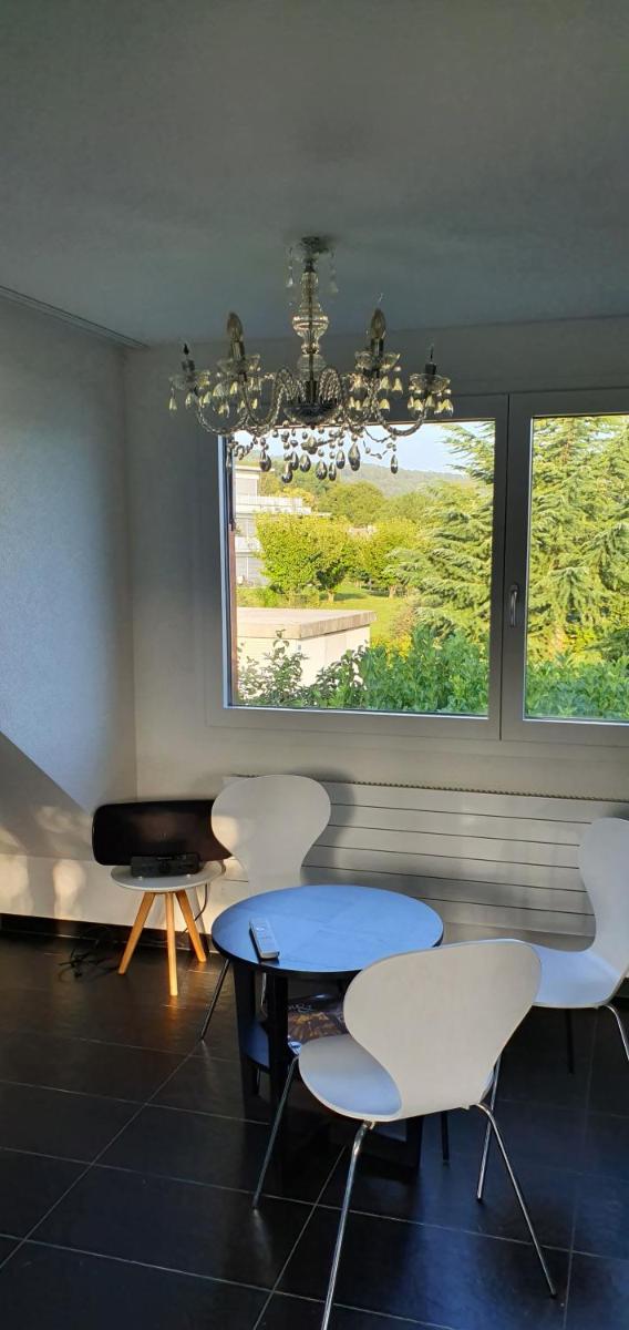 Nice Apartment in Horgen near lake and Pool - Housity