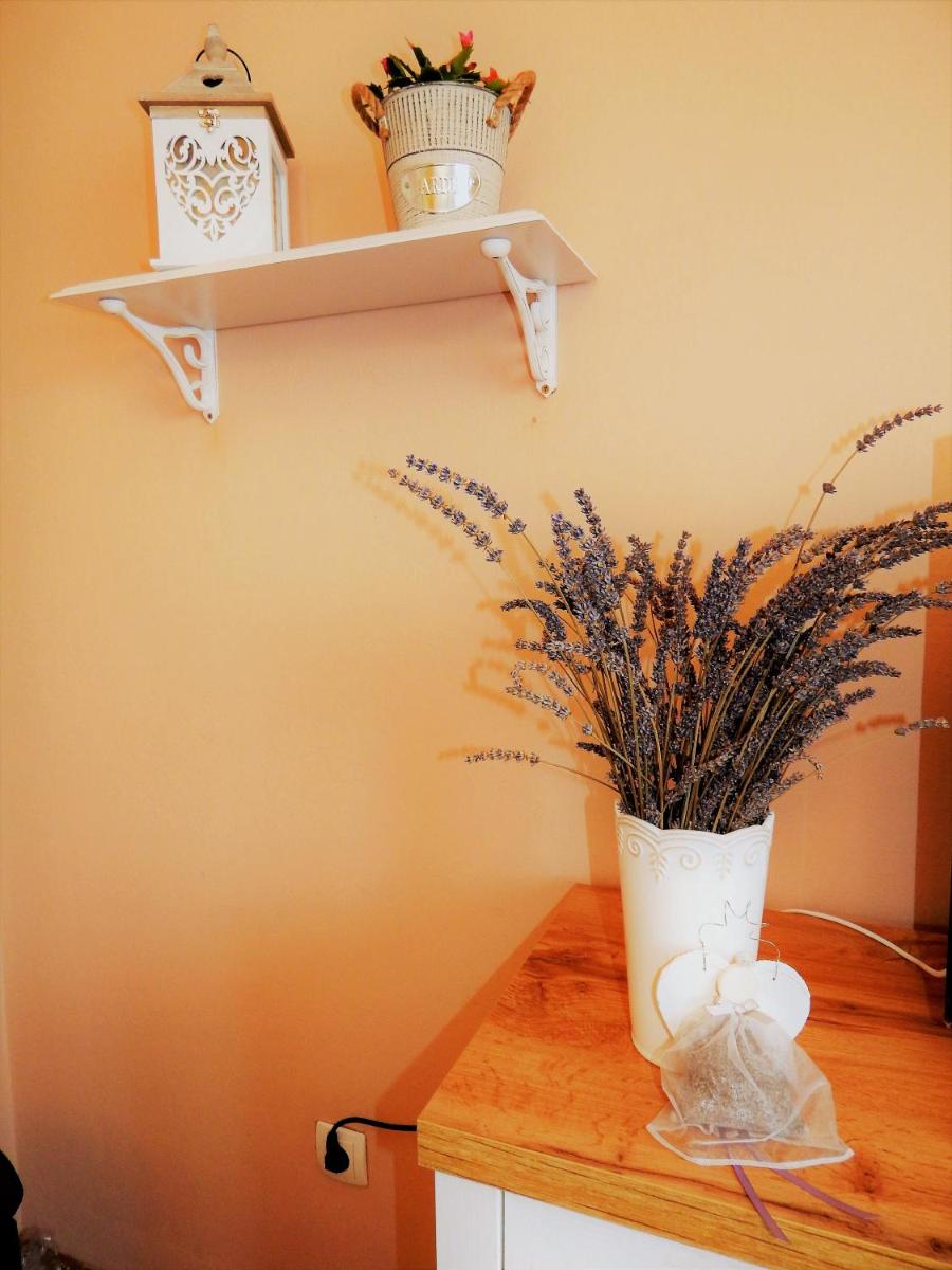 Studio APARTMAN TVRTKO - Housity