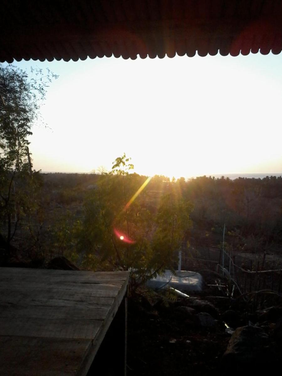 Gili Kondo Bungalow - Housity