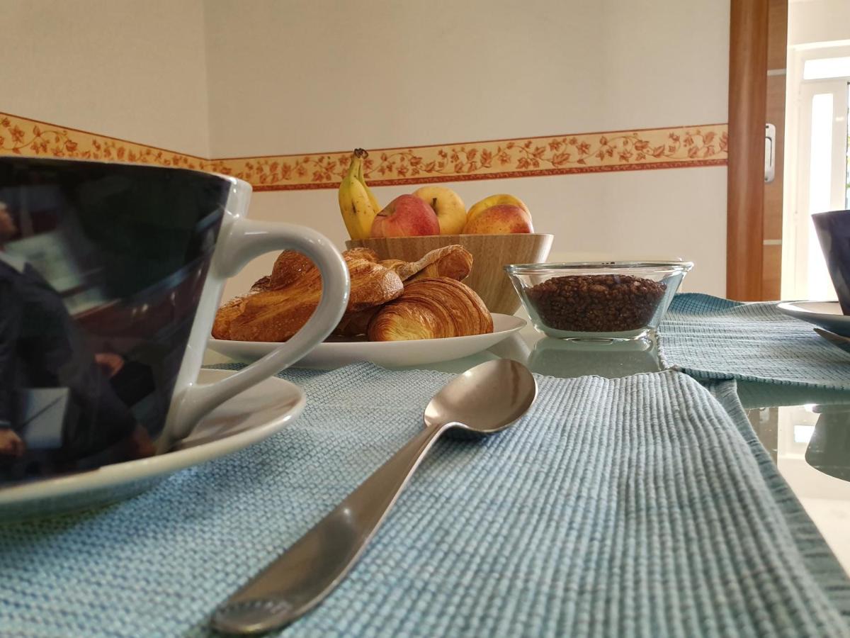 Selva House - Housity