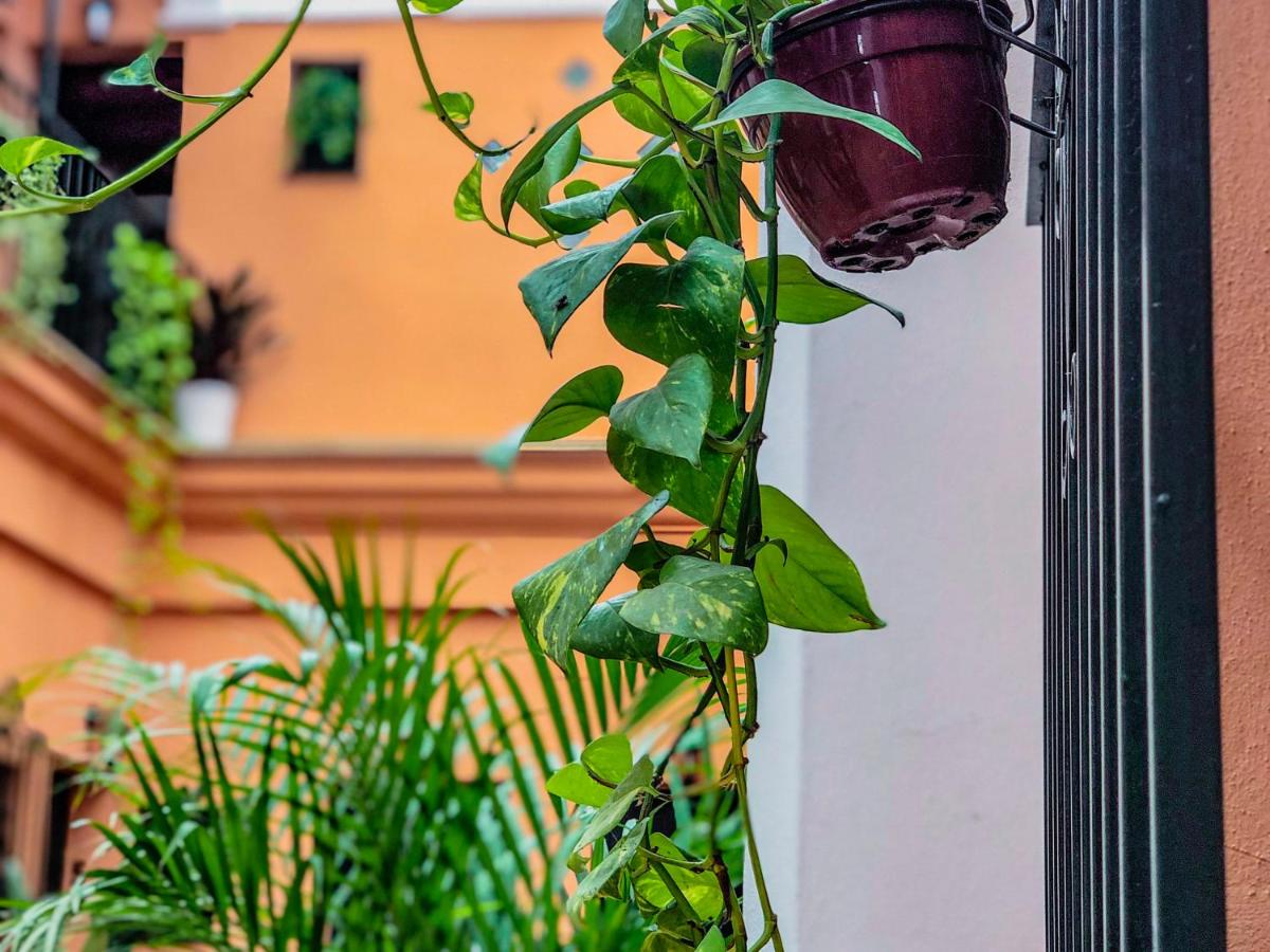 Alojamiento Rural Flamingo - Housity