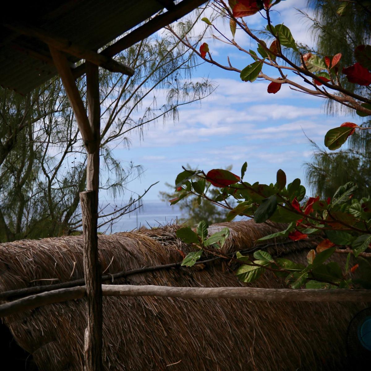 Tree House Cottage, Ocean View - Housity