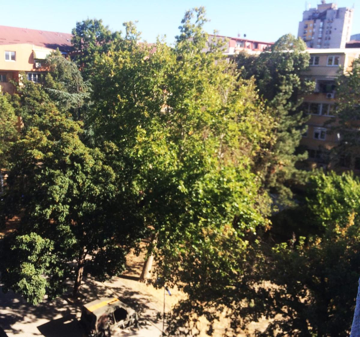 The Pioneers Home - Housity